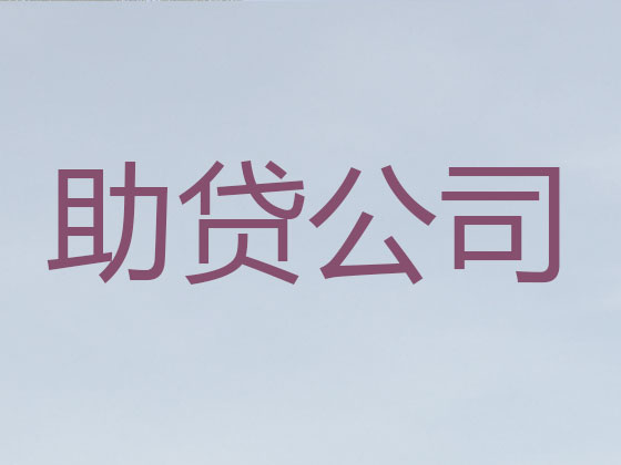 泰安贷款公司